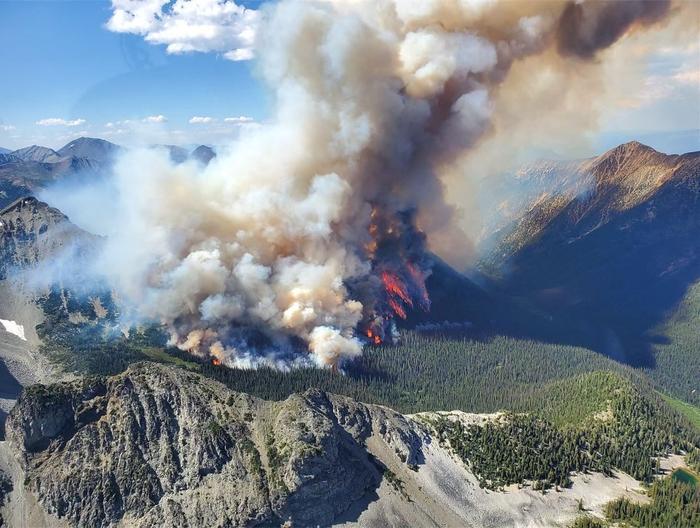 世界气象组织：北半球大部分地区被酷热笼罩