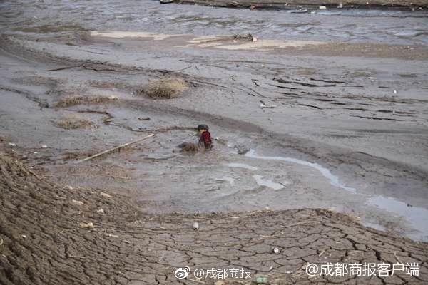 熟芝麻和生芝麻的区别