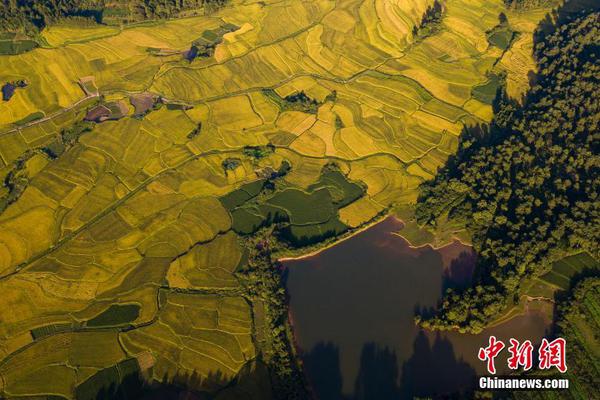 制止餐饮浪费 武汉出妙招：设立自助餐厅反浪费管理员