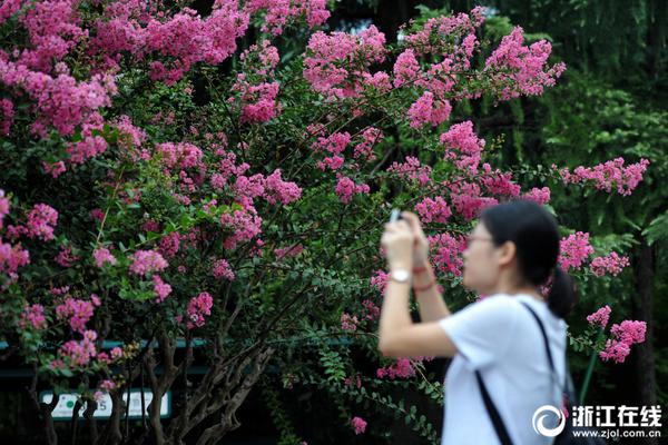 风味之中有“玄机”：复合调味料何以“智”造？