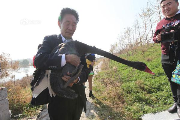 山姆回应同款蛋糕上海、杭州差价大