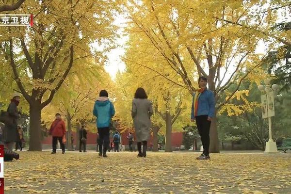 消除种族歧视国际日 联合国秘书长呼吁为平等发声