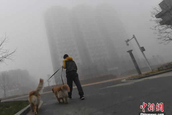 乌冬面里吃出活青蛙！  日本知名连锁品牌道歉