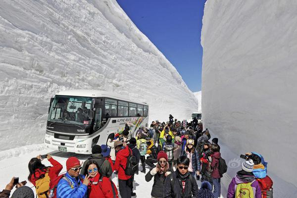 8个人的队形