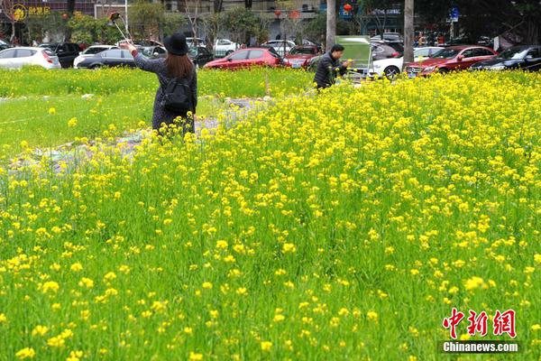 不得向未满8周岁儿童销售盲盒 市场监管总局发文为盲盒经营划红线