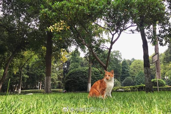 天津市河东区一小区发生爆炸，救援工作正在进行