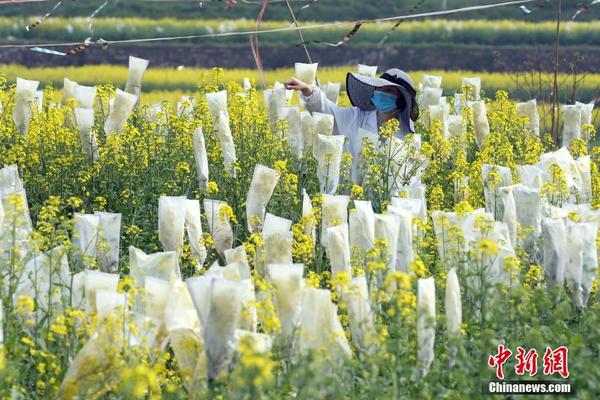 我国快递业务量月均“百亿级” 增长的原因何在？