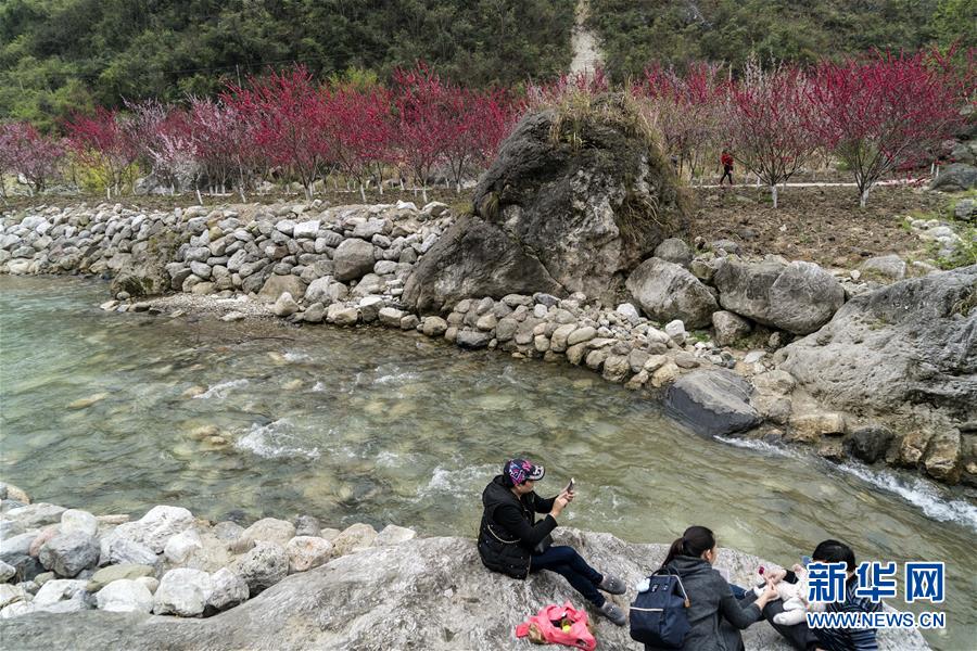 妈妈的味道图片什么梗