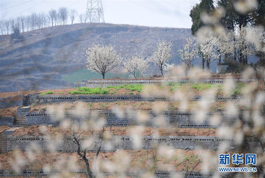 中老铁路旅客发送量达1600万人次